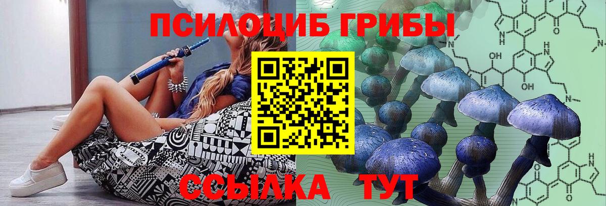 Красный Сулин  Псилоцибиновые грибы Psilocybine cubensis  Вход с VPN  Галлюциногенные грибы ЛСД 